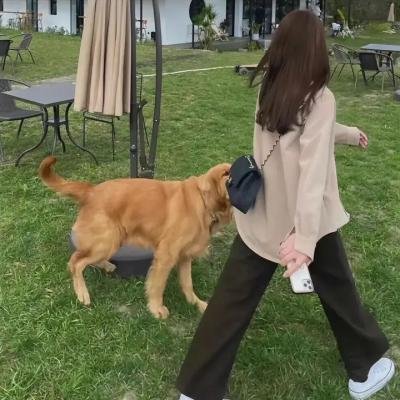 泰山得子记
